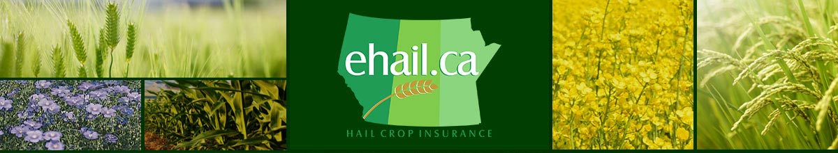 Ehail.ca - Hail Crop Insurance